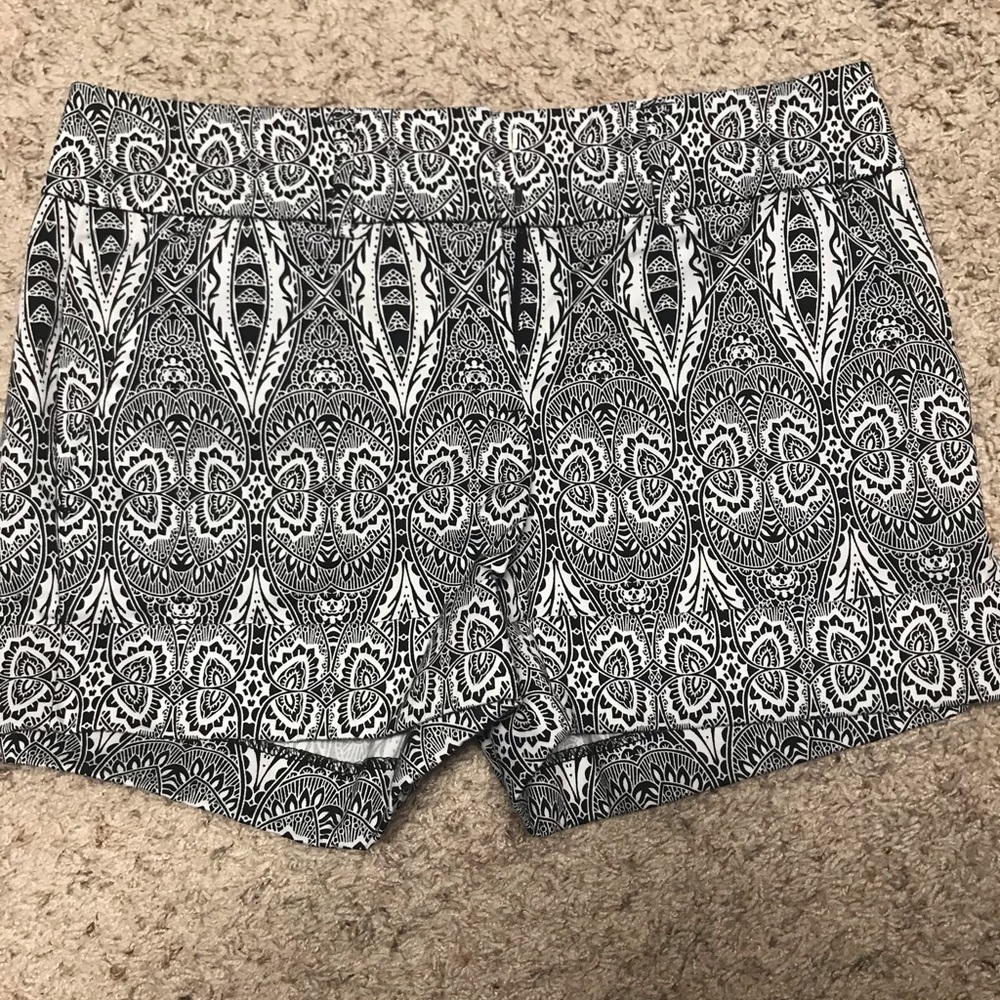 New York & Company Shorts